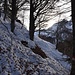 sul sentiero per l'Alpe del Lago