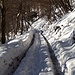 <b>La camminata inizia alle 8:15 sul piazzale innevato della Chiesa di Cabbio (670 m), adibito a posteggio gratuito. Dopo circa un chilometro percorso sulla strada alpestre della Valle Luasca i muscoli e le ossa si sono finalmente riscaldati; decido di applicare i micro ramponi. La salita è così facilitata: le punte aderiscono bene alle impronte lasciate da un trattore, la cadenza è incrementata.</b>