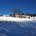 <b>In circa un’ora e mezza, dopo poco più di 4 km di cammino, arrivo all’Alpe Bonello (1100 m), azienda agricola abitata stabilmente anche in inverno. </b>