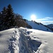 <b>In salita verso il Poncione di Cabbio.</b>