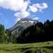 Ritorno nel verde: a sinistra del Monte del Forno la valle che porta al Passo del Muretto; a destra la Val Forno