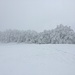 Winterlandschaft in der Gipfelregion.