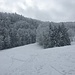Im Aufstieg.