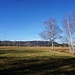 durchs Moor