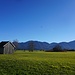 Blick zu den Bayrischen Voralpen
