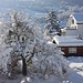 Unser alter Apfelbaum trägt schwer unter der Schneelast