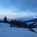 nebelverhangene Morgenstimmung auf der Alp Öber Chnöwis