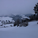 Fotos der Tour vom 15.1.2021:<br /><br />Blick von der Wanderhütte bei P.829m auf Langenbruck (708m). 