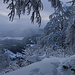Fotos der Tour vom 15.1.2021:<br /><br />Aussicht vom Helfenberg / Bilsteinberg (1123,9m) durch den tief verschneiten Wald ins Mittelland wo langsam die Sonne durch die Nebelschwaden drückt.<br />