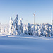 Raus auf die offene Hochfläche geht es nun, der Pfad über das Hochmoor ist zwar mit Stangen markiert, aber der vom Wind umgelagerte Pulverschnee macht das Fortkommen auch hier wieder recht zäh. Hinten rechts der SWR-Funkturm.