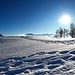 <b>Ai Monti di Cima (1100 m) svolto a sinistra, su un sentiero battuto, che conduce ad un magnifico terrazzo, sui pascoli dell’Alpe Moschera (1150 m). <br />La neve rigelata canta sotto i ramponi delle ciaspole; il sole fa risaltare le pieghe del terreno ed i polmoni pompano a pieno ritmo. </b>
