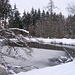 Auf dem Weg zum Stellekopf, Holzweiher an der Pflanzgartenhütte