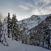 Den Garmil vor Augen - unterhalb Campidells (Alp Wald)