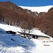 <b>Alpe di Coransù (1130 m).</b>