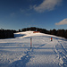 An der Wackersberger Alm