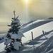Verso l'alpe di Naccio... la magia della neve