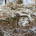 Ich halluziniere (doch nicht): Schraubstock im Wald