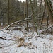 Mühlgraben der Meiselmühle