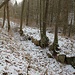Mühlgraben der Meiselmühle