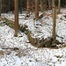 Zuwegung zur Köhlermühle