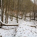 Mühlgraben der Köhlermühle