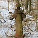 Hydrant im Wald 2
