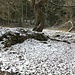 Oelsengrund, einstiger Siedlungsplatz