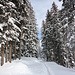 Wintermärchen