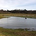 Bregnano : uno dei laghi dei Prati del Ceppo