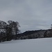 Auf dem Weg zu Cédar de Pierrefeu. 