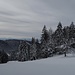 Auf dem Weg zu Cédar de Pierrefeu. 