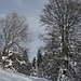 Auf dem Weg zu Les Colisses du Haut. 