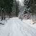 Der Weg hinauf zum Schurmsee war heute noch nicht begangen, hatte aber überschneite Altspuren.
