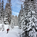 Wintermärchen