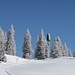 Auf dem Weg zur Cabane du Cunay. 