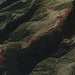 GPS