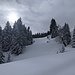 Einsame Winterstimmung - mitten im Skigebiet