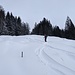 Schöne Waldschneisen, wenige Spuren