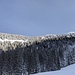 Leider erreicht uns die Sonne in der Abfahrt vom Riedbergerhorn nicht mehr. Immerhin ergibt sich ein schönes Licht!
