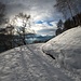 <b>La strada silvo-pastorale è coperta di neve gelata: per qualche centinaio di metri cammino solo con gli scarponi, poi decido di applicare i micro ramponi, ideali su neve battuta. </b>
