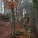 Auf der Riedburg. Links die Reste vom Bergfried.