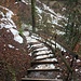 Abstieg zum Schwarzenbach ...
