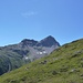 Piz Polaschin mit Chavagl dal Polaschin von der Alp Secha aus gesehen