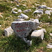 Unterwegs zwischen Vitlenica und Hajdučka vrata - Namensstein am Jezero Crvenjak. Häufig tauchen in Veröffentlichungen auch die Bezeichnungen "Jezero Crljenak" oder "Jezero Crvenak" auf. 