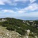 Trinača - Ausblick am Gipfel in etwa nördliche Richtung.