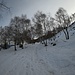 <b>A Gola di Lago le torbiere, gli stagni, le piante carnivore e le rocce montonate testimoniano il passaggio di una lingua del ghiacciaio del Ticino durante l’ultima glaciazione. Uno spesso mare di ghiaccio copriva la regione e raggiungeva la quota di 1200 metri di altitudine. Infatti lungo l’itinerario si osservano numerosi massi erratici, pietre differenti provenienti dal Sopraceneri e ciottoli levigati, abbandonati dal ghiacciaio. Nel pieno dell’inverno, sulla neve, si osservano ancora migliaia di pulci dei ghiacciai che confermano come una preziosa reliquia quel lontano passato.<br /><img src="http://f.hikr.org/files/3310071k.jpg" /><br />La pulce della neve in realtà è un collembolo (Hypogastrura nivicola).<br />Sopporta bene i raggi solari e le temperature elevate grazie all'intensa pigmentazione nera e ovviamente sopporta bene anche il freddo.</b> 