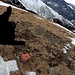 <b>Shaka!<br />"Caval" designa un’elevazione del terreno, "Drossa" significa dosso, quindi, in definitiva, “promontorio montagnoso”.</b>