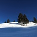 "knalleblau" unterwegs zum Rastplatz beim Alpkreuz