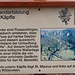 Zur Mäanderbildung am Käpfle