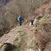 Im Irndorfer Felsengarten. Es war nicht die günstigste Jahreszeit, um die hier anzutreffenden Pflanzen zu bewundern, darunter Relikte aus der Eiszeit.